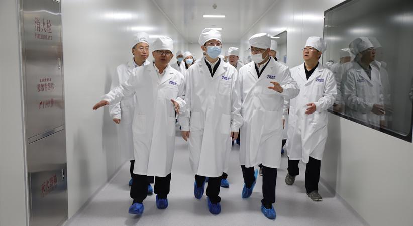 97921617277211528111.jpg 1_副本.jpg